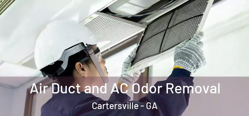 Air Duct and AC Odor Removal Cartersville - GA