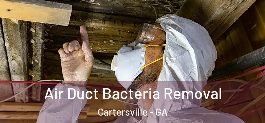  Air Duct Bacteria Removal Cartersville - GA