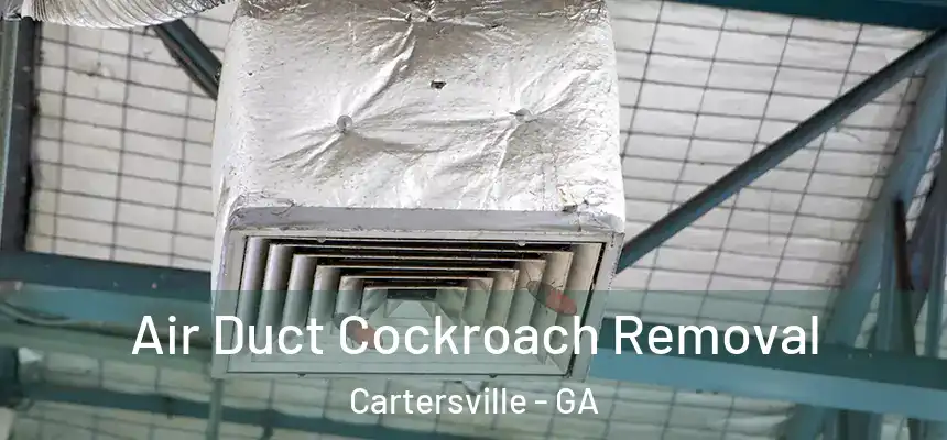  Air Duct Cockroach Removal Cartersville - GA