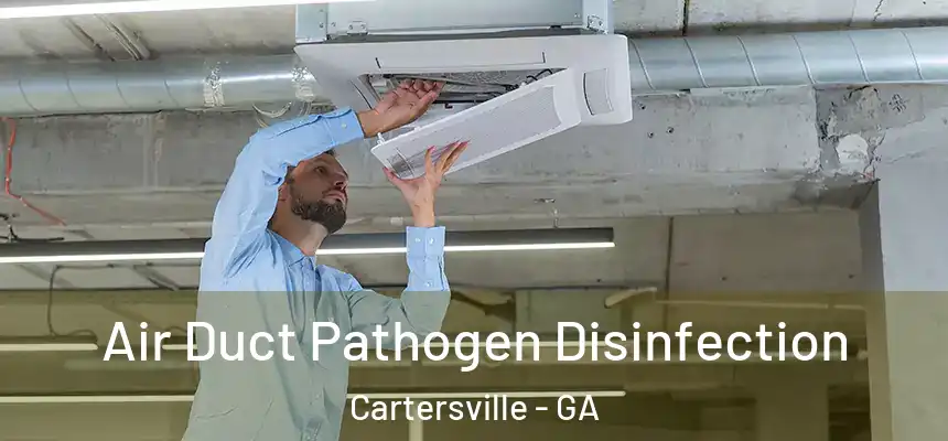  Air Duct Pathogen Disinfection Cartersville - GA