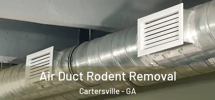  Air Duct Rodent Removal Cartersville - GA