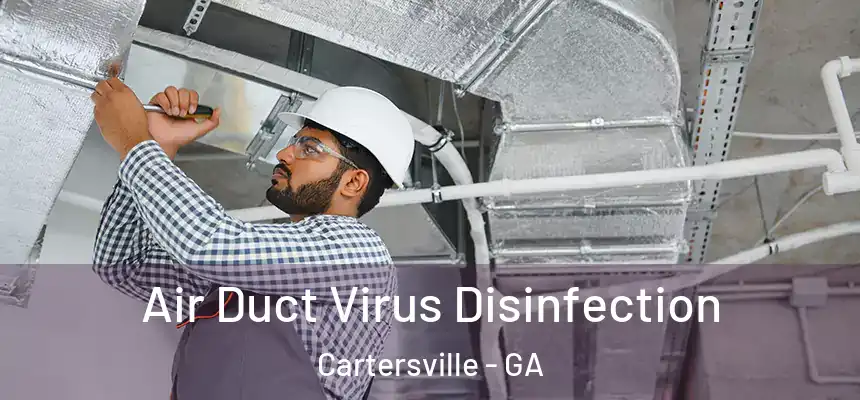 Air Duct Virus Disinfection Cartersville - GA