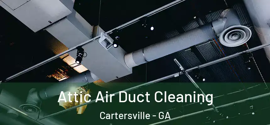  Attic Air Duct Cleaning Cartersville - GA