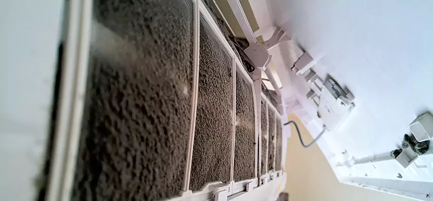 Preventive Air Duct Bacteria Removal in Cartersville