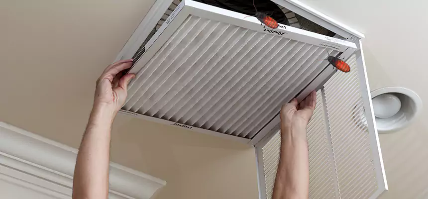 Preventive Cockroach-Proofing for Ducts in Cartersville