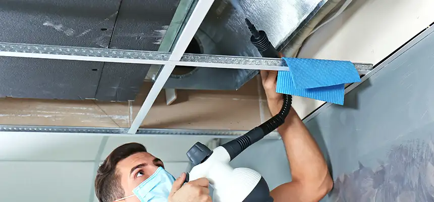 Our Air Duct Rodent Removal Services in Cartersville, GA