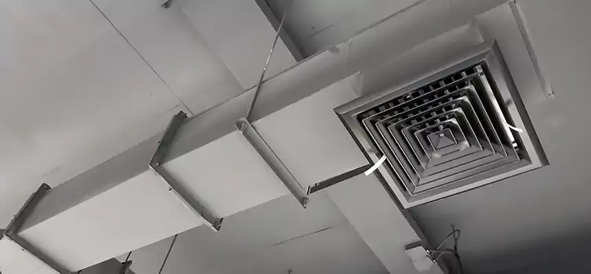 Our Rodent Droppings In Vents Services in Cartersville, GA