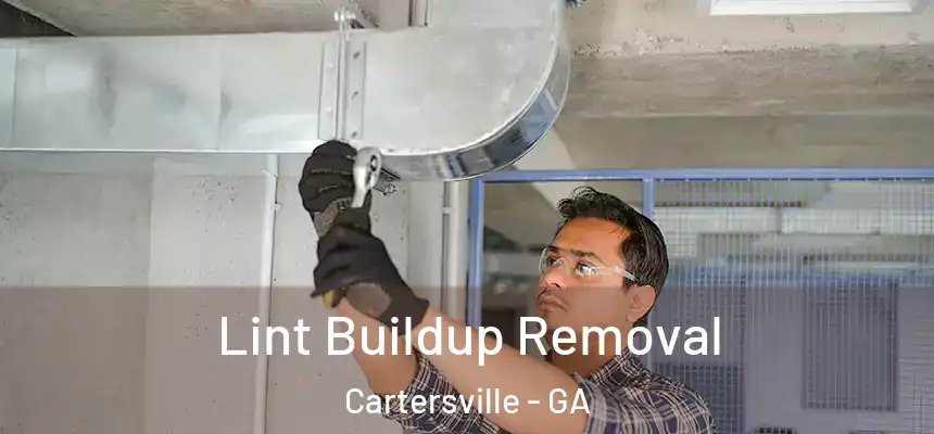  Lint Buildup Removal Cartersville - GA