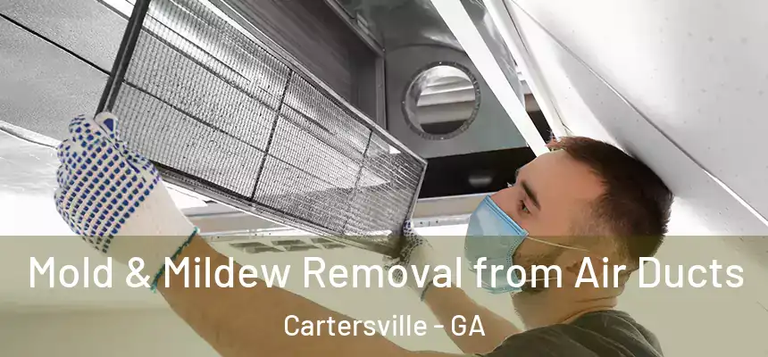  Mold & Mildew Removal from Air Ducts Cartersville - GA