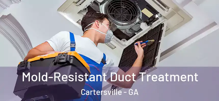  Mold-Resistant Duct Treatment Cartersville - GA