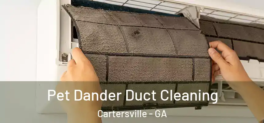  Pet Dander Duct Cleaning Cartersville - GA