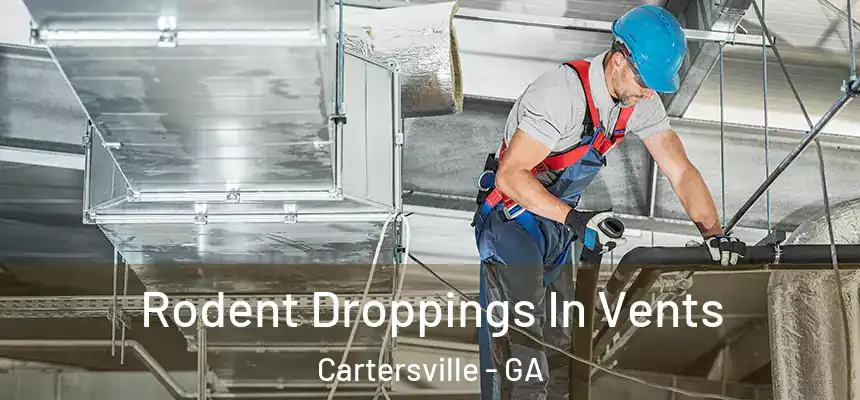  Rodent Droppings In Vents Cartersville - GA