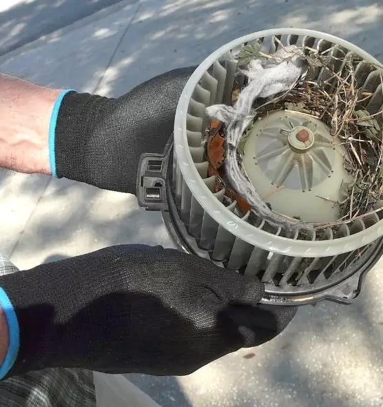 About Air Duct Rat Removal in Cartersville, GA