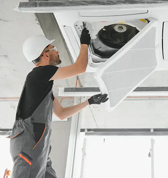 About Air Duct Rodent Removal in Cartersville, GA