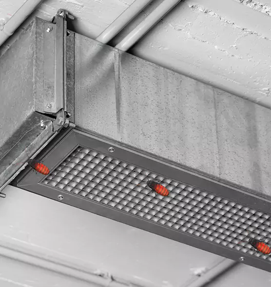 Affordable Insect Removal from Air Ducts in Cartersville, GA