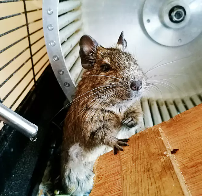 Why Homeowners & Businesses Trust Us Cartersville, GA